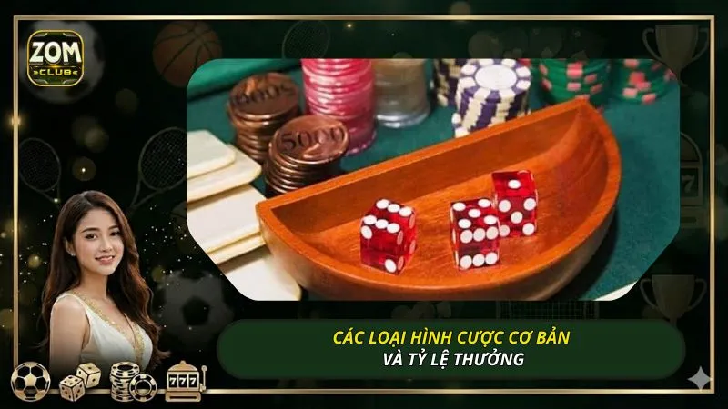 Các loại hình cược cơ bản và tỷ lệ thưởng